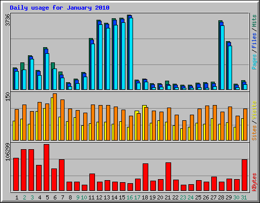 Daily usage for January 2010