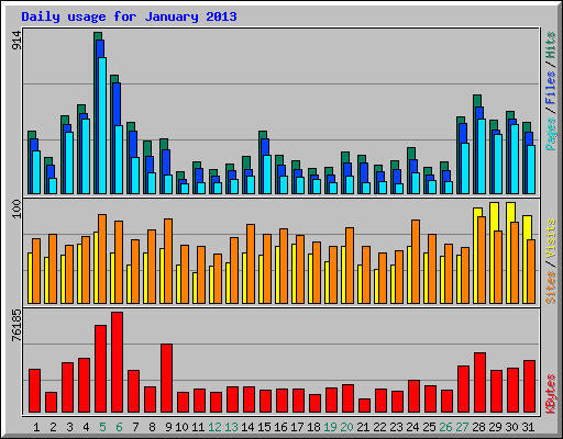 Daily usage for January 2013