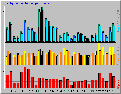 Daily usage for August 2013