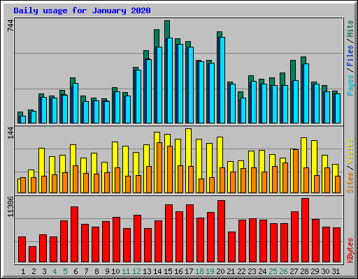 Daily usage for January 2020
