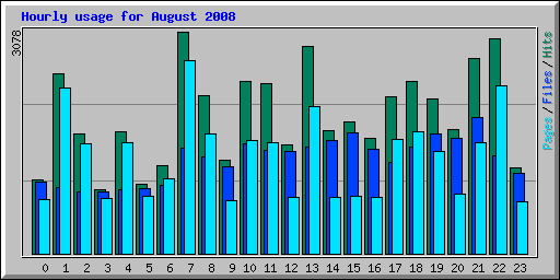 Hourly usage for August 2008