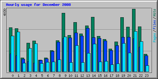 Hourly usage for December 2008