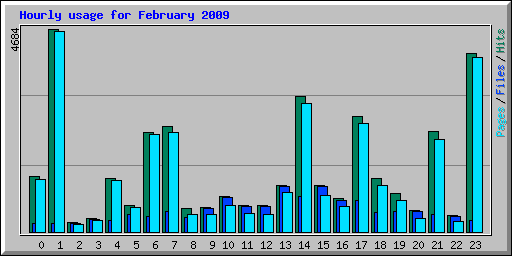Hourly usage for February 2009
