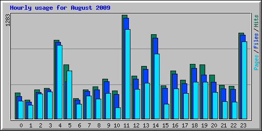 Hourly usage for August 2009
