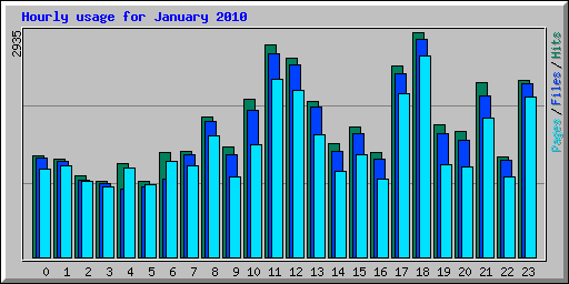 Hourly usage for January 2010