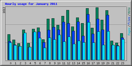 Hourly usage for January 2011