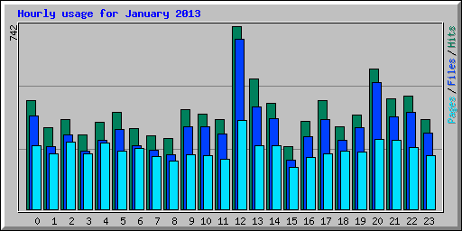 Hourly usage for January 2013