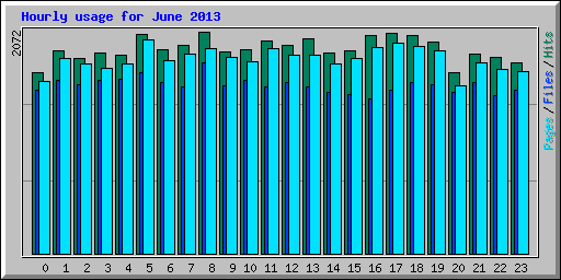 Hourly usage for June 2013