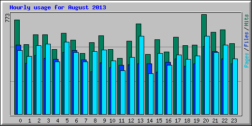 Hourly usage for August 2013