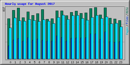 Hourly usage for August 2017