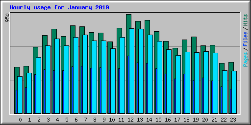Hourly usage for January 2019