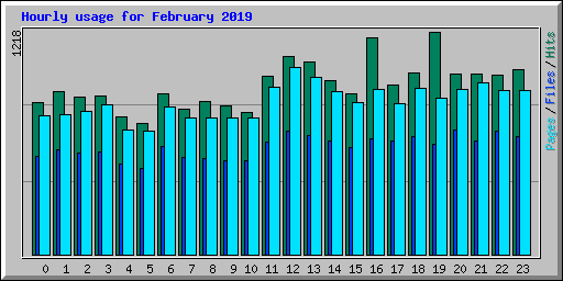 Hourly usage for February 2019