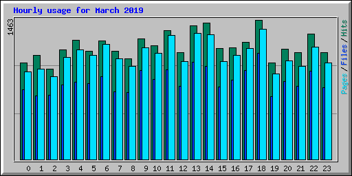 Hourly usage for March 2019