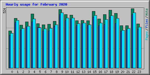 Hourly usage for February 2020